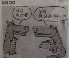 악어 지갑