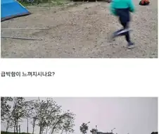강풍 부는데 캠핑 하려던 중딩들