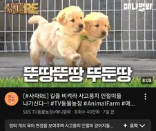 썸네일이 깡패라 결국 영상 터치함....