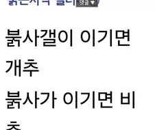 붉은사막) 올것이 와버린 갤 념글