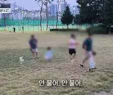개빠년들은 여전히 ㅈ같은의미로 한결같네