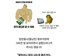 시바견 밈을본 할아버지 반응