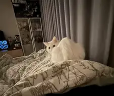 주말에 잠에서 더 빨리 깨는 이유