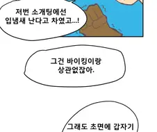 바이킹에 관한 오해 푸는 .manhwa