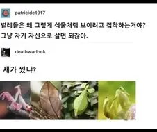 벌레들은 왜 그렇게 식물처럼 보이려고 애 씀?