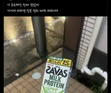 바이오하자드 조사 시점