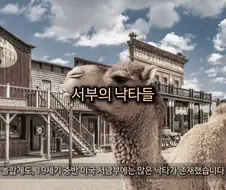 "미국에 낙타가 말이되냐. 고증오류다"