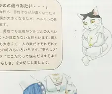 일본의 성교육 교과서 삽화 수준. manga
