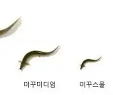 미꾸시리즈