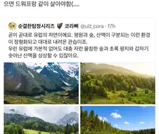 한국인이 생각하는 숲과 유럽인이 생각하는 숲 차이