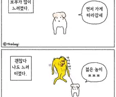 나이 들은 애완견의 걸음 속도가 느려졌다..
