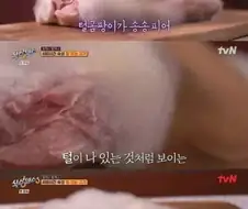 호불호 갈리는 고기.jpg