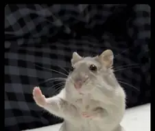 후훗 그 녀석은 우리들 중 최약체