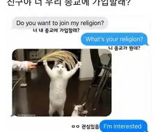 우리 종교에 가입 할래냥?