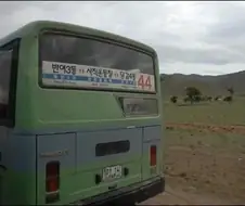 이상 기후 때문에 부산에 생긴 변화