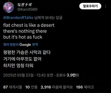 납작가슴은 사막과 같아