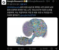 데이터로 구현 가능한 뇌 추가됨