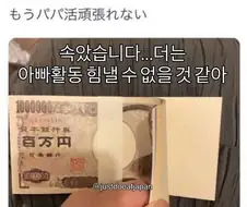 파파카츠 통수맞은 일본녀.jpg