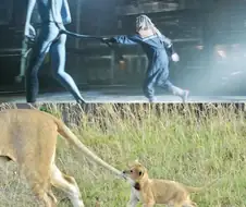 영화) [아바타] 별걸 다 자연에서 따온 카메론 감독....