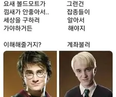 조별과제로 보는 해리와 말포이