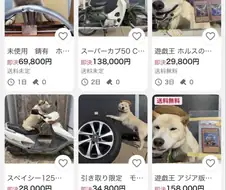 한결같은 일본 중고판매자.