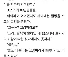 풀메탈패닉) 소스케가 애지중지하던 "고양이"