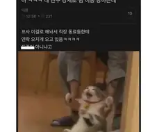 직장 동료들에게 욕먹은 이유