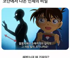 명탐정 코난에서 나온 인체의 비밀.jpg