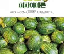 아빠...제발 하지 말아줘...