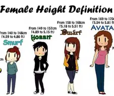 당신 여친의 키는?