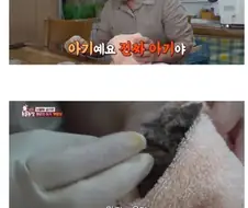 아기 부엉이 키우기.jpg