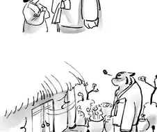 호랑이랑 결혼한 조선 아가씨 만화.manga