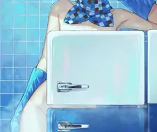 가림의 미학