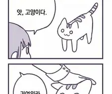 지구정복 꿈꾸는 고양이.manhwa