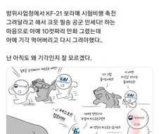 방위사업청한테 빠꾸먹은 KF-21 보라매 시험비행 축전.manwha
