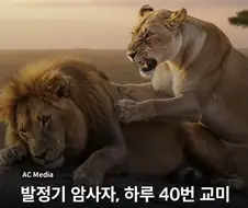 잘생긴놈보면 환장한다는 암컷