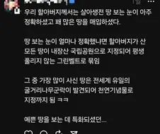 땅 전문가 할아버지