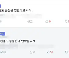세계관 최강자들의 싸움