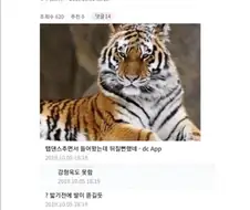 100억 주면 아기고양이든 나발이든 존나 짓밟을 수 있음