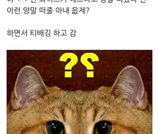 남편에게 수면양말 떠주면 큰일나는 이유.jpg