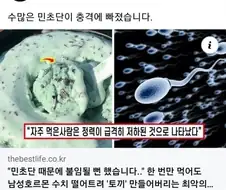 민초단은 들으라