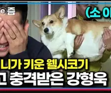 강형욱도 경악하게 만든 할머니의 웰시 코기