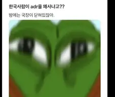 주식) 한국 사람이 왜 하이닉스 adr사냐고?