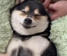 아앙 더..더 깊게... 앙 기..기모찌...