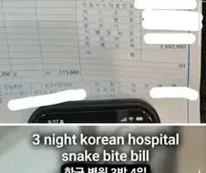 한국에서 독사 물린 미국인, 병원비 공개 영상에 달린 댓글