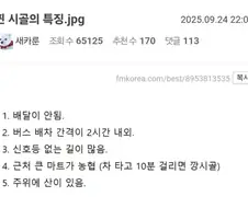 진짜 찐 시골 특징 txt.