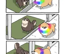 치와와 vs 시바.manga