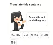 기어이 조회수 600만을 뚫어버린 어느 듀오링고풍 짤