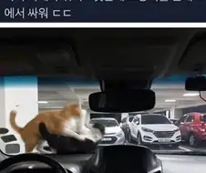 딴데가서 했으면.jpg