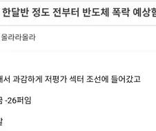 주식)난 한달반 정도 전부터 반도체 폭락 예상함